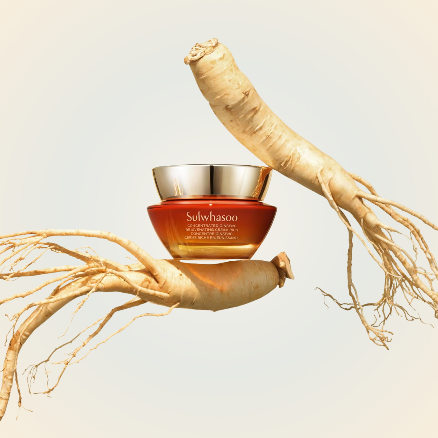 Sulwhasoo Concentrated Ginseng Rejuvenating Cream Rich with ginseng root – revitalizing energy for firmer, youthful-looking skin